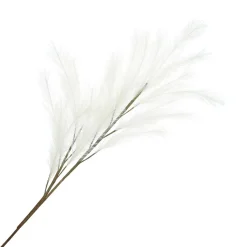 HOMLA Galazka Canne Sztuczna 100 Cm