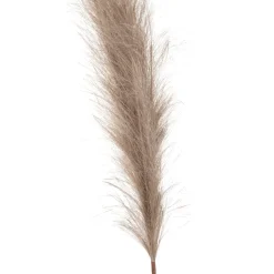 HOMLA Galazka Sztuczna Canne Bezowa 97 Cm