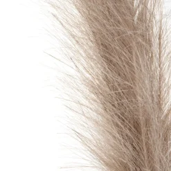 HOMLA Galazka Sztuczna Canne Bezowa 97 Cm