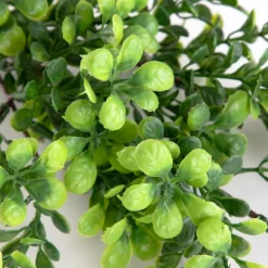 HOMLA Galazka Sztuczna Farve Bukszpan 38 Cm