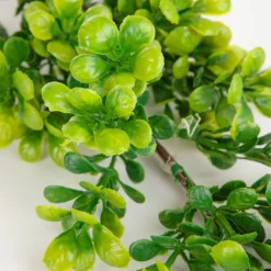 HOMLA Galazka Sztuczna Farve Bukszpan 71 Cm