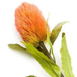 HOMLA Galazka Sztuczna Malum Banksja 66 Cm