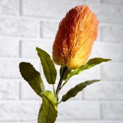 HOMLA Galazka Sztuczna Malum Banksja 66 Cm