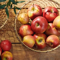 HOMLA Koszyk Rissa Okragly M 22X11 Cm