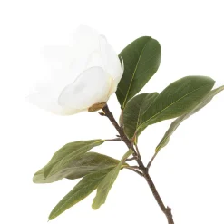 HOMLA Kwiat Sztuczny Hiya Magnolia 71 Cm