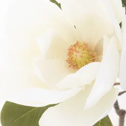 HOMLA Kwiat Sztuczny Hiya Magnolia 71 Cm