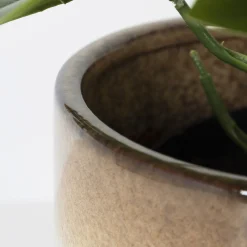 HOMLA Oslonka Soleto Ceramiczna Bezowa 15X15X15 Cm