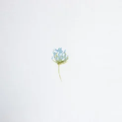 HOMLA Pościel Sadie Bawelniana W Kwiatki Z Rozowa Lamowka 140X200 Cm + 1*50X60 Cm