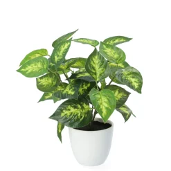 HOMLA Roslina Sztuczna Edera W Donicy 20 Cm