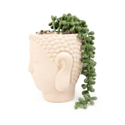 HOMLA Roslina Sztuczna Esin W Bezowej Donicy 13X12X19 Cm