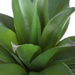 HOMLA Roslina Sztuczna Semela Agawa 38 Cm