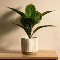 HOMLA Roslina Sztuczna Semela Difenbachia 36 Cm