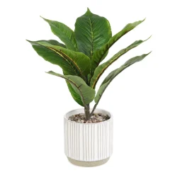 HOMLA Roslina Sztuczna Semela Difenbachia 36 Cm