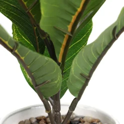 HOMLA Roslina Sztuczna Semela Difenbachia 36 Cm