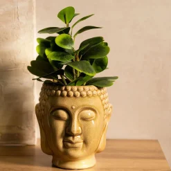 HOMLA Roslina Sztuczna Semela Peperomia 30 Cm