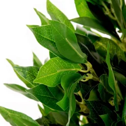 HOMLA Roslina Sztuczna Tropical Zone Drzewko Laurowe 90 Cm