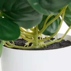 HOMLA Roslina Sztuczna Tropical Zone Pepperomia 43 Cm