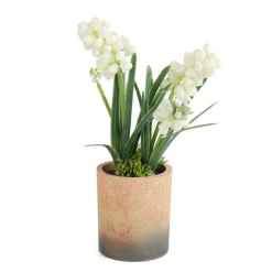 HOMLA Roslina W Donicy Convallis Konwalie 15X15X30 Cm