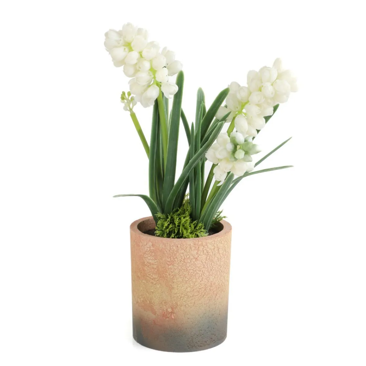 HOMLA Roslina W Donicy Convallis Konwalie 15X15X30 Cm