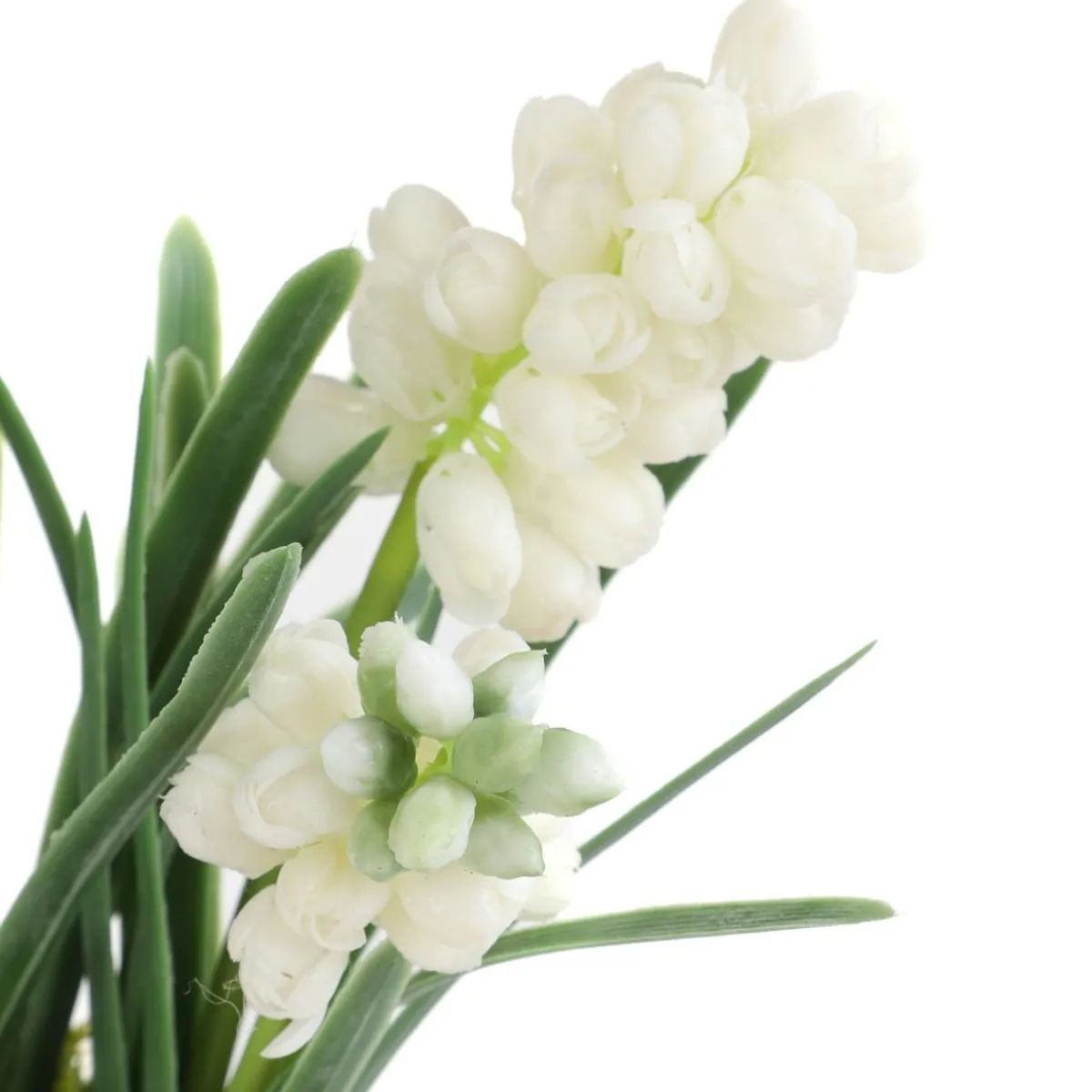 HOMLA Roslina W Donicy Convallis Konwalie 15X15X30 Cm