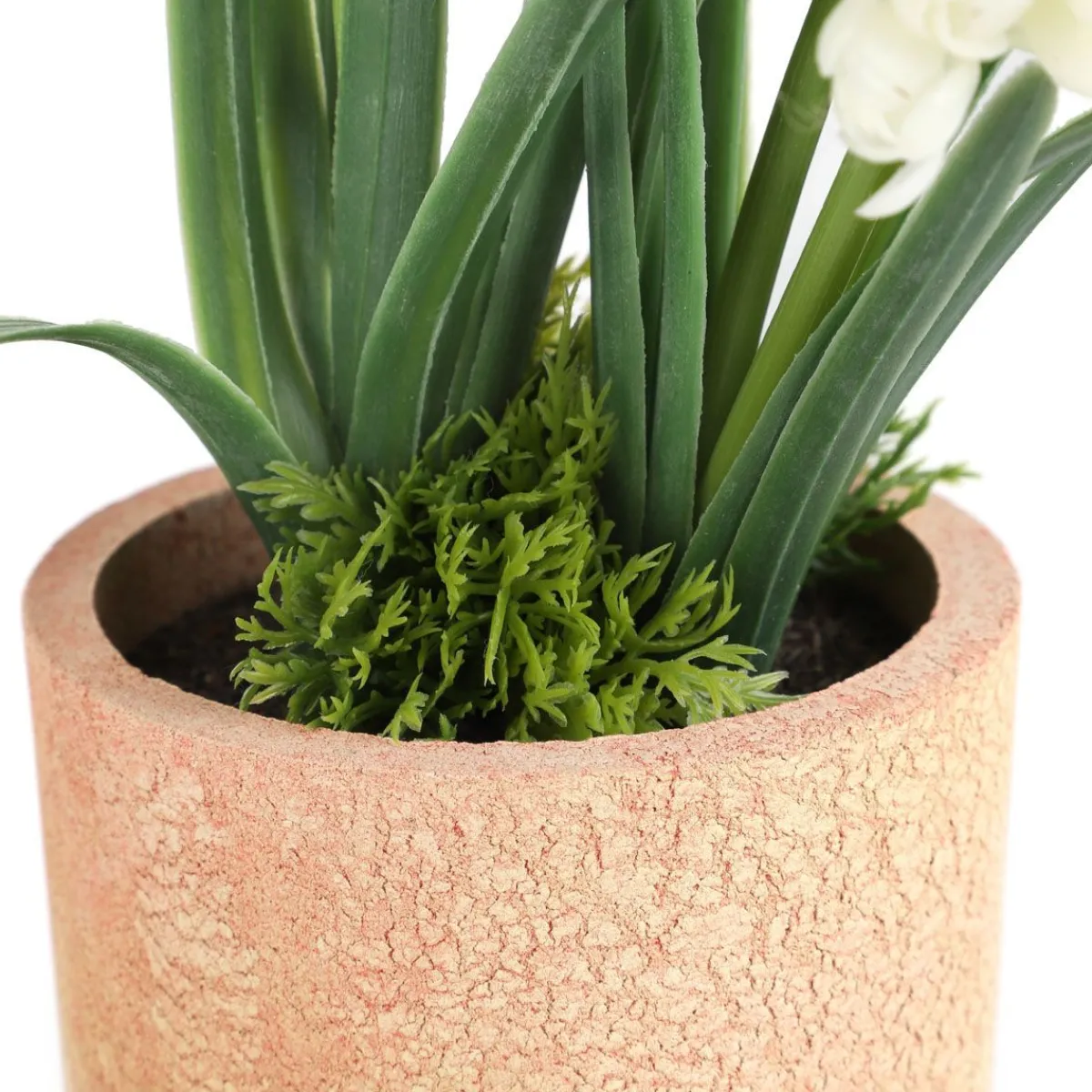 HOMLA Roslina W Donicy Convallis Konwalie 15X15X30 Cm