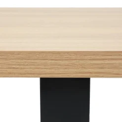 HOMLA Stol Fane 160X80X76 Cm