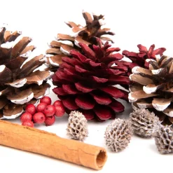 HOMLA Susz Dekoracyjny Roque Pine & Cinnamon 12X16 Cm