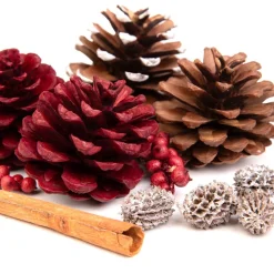 HOMLA Susz Dekoracyjny Roque Pine & Cinnamon 18X12X7 Cm