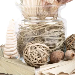 HOMLA Susz Dekoracyjny Roque Z Liscmi Palmy 14X24 Cm