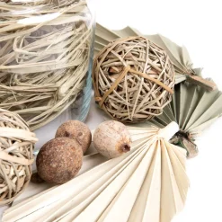 HOMLA Susz Dekoracyjny Roque Z Liscmi Palmy 14X24 Cm