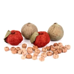 HOMLA Susz Dekoracyjny Roque Zapachowy Dynie I Putka Pod 12X20 Cm