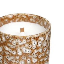 HOMLA Swieca Zapachowa Gatto Vanilla & Amber 130 G