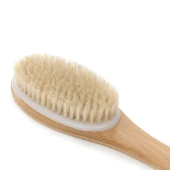 HOMLA Szczotka Spazzo Naturalna Z Raczka Do Masazu Na Sucho I Mokro 41,5X6,8X3,2 Cm