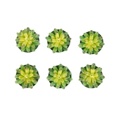 HOMLA Zestaw Swiec Jade 6 Szt. Sukulenty 166 G